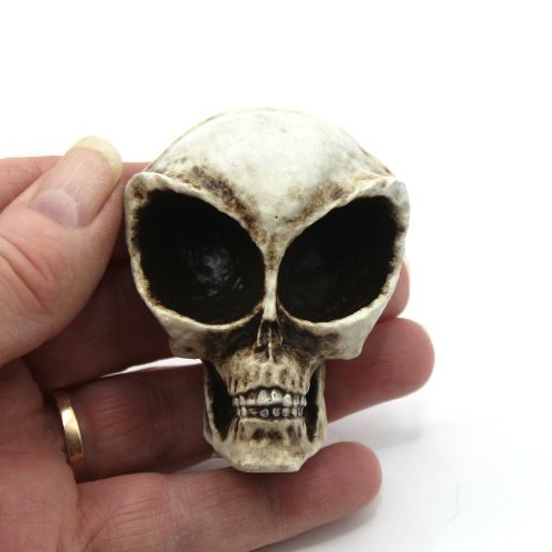 Roswell ALIEN SKULL Fridge Magnet, Little Green Men